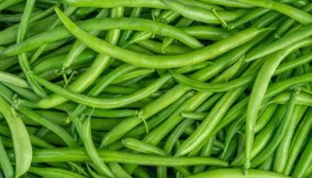 Modification submission requirements French bean (dwarf and climbing beans)