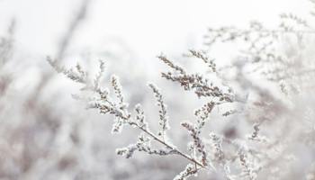 Beleid gebruik DUS-materiaal vanaf 1 januari 2025