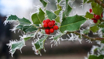 Gewijzigd beleid bij intrekking van nationale aanvragen